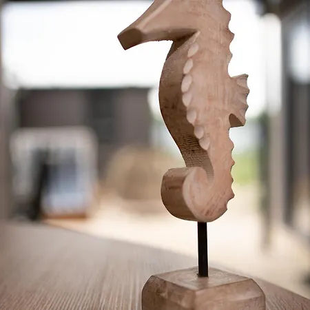 Duene 46 * Шарбойц